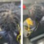 Retouch dreadlocks - Salon J & C