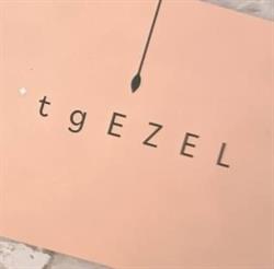 't gEZEL