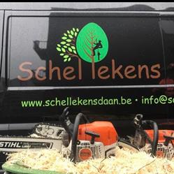 Schellekens boomverzorging