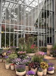 Intra Verde Greenhouse