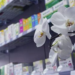 Pharmacie Guisset