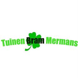 Mermans Bram