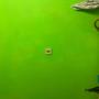 peintre andenne