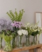Verse snijbloemen
