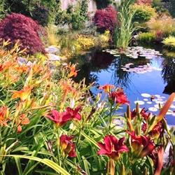 Ardennes Jardins SA SA
