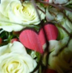 Bloemen D'hooge