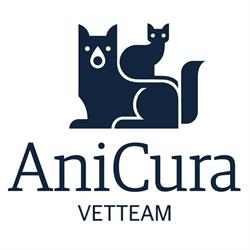 Clinique Vétérinaire VetTeam