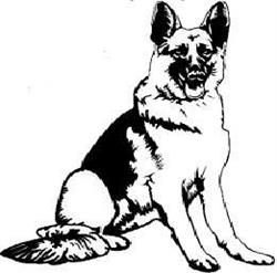 Ecole Canine de Doische