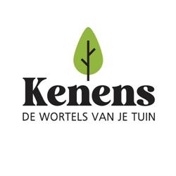Plantenkwekerij Kenens