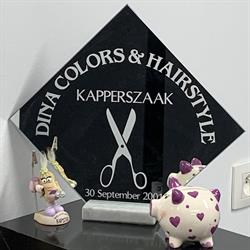 Dina Colors & Hairstyle