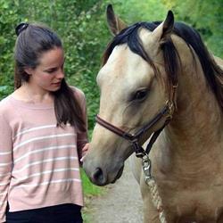 Isabelle Losa Communication Animale