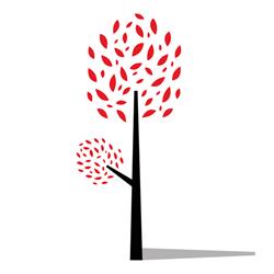Entreprise de Jardinage - William Pierard