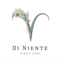 Di Niente, kleurensalon en haarherstel