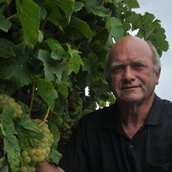 André Dierickx wijnbouw