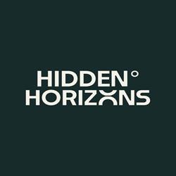 Hidden Horizons