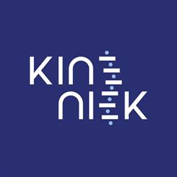 Kine Niek