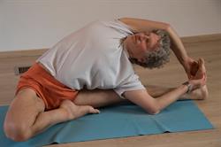 Iyengar Yoga Center of Brussels