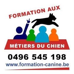 Training Aux Métiers Du Chien