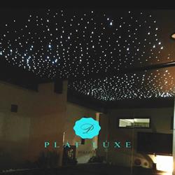 PLAFLUXE