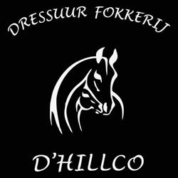 Dressuur fokkerij D'Hillco