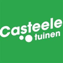 Casteele Kristof