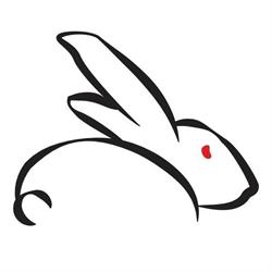 White Rabbit