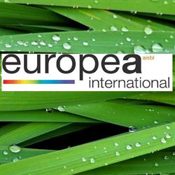 Europea Belgium