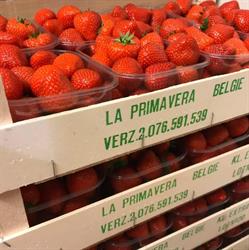 La Primavera Groenten Fruit Primeurs