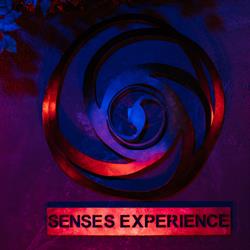 INTENSE Senses Experience