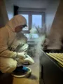 Gerichte stoombehandeling tegen bedwantsen