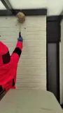 Bestrijding van een wespennest op hoogte