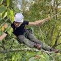 Treework.be Boomverzorging