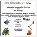 Nico De Naeghel