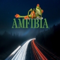 AMFIBIA